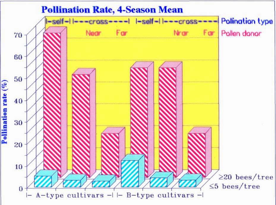 The need for many honeybees: pollination rate Conclusions: l-close-l---cross---l l-close-l--cross--l Near Far Near Far Source: Ish-Am, 1994. PhD Thesis Pollinizer a.