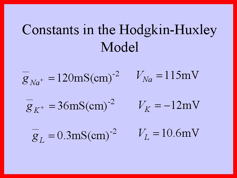 ) Hodgkin and Huxley