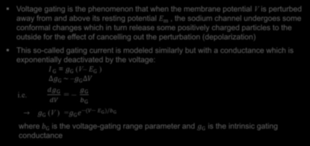 Model Revision -- Voltage Gating Voltage gating is the phenomenon that when the membrane potential V is perturbed away from and above its resting potential E m, the sodium channel undergoes some