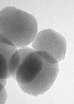 Figure SI-6 (c) shows a representative image of solid S3 where the enzyme coating that surrounds the mesoporous nanoparticle can be appreciated and the fact that inorganic
