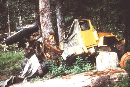 Logging Truck Wrapped Around Tree by Tsunami National