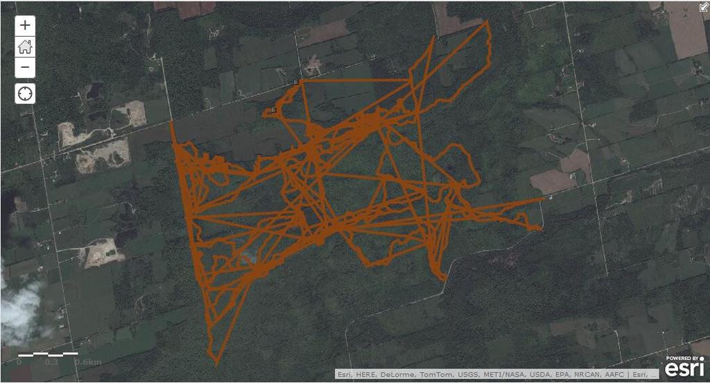 52 Figure 14 Trail Track Map Overlaid with Satellite Imagery A small subset of this trail is loaded into Figure 15 which shows how many tracks can be overlaid for