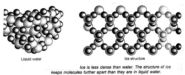 CHEM. 1 HONS. UNIT 8 CH. 11 IMF s and Liquids and Solids 12 PROPERTIES OF WATER. Unusual properties of water: Water has a considerably greater surface tension than most other liquids.
