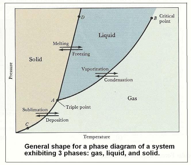 CHEM. 1 HONS. UNIT 8 CH. 11 IMF s and Liquids and Solids 28 PHASE DIAGRAMS The phase in which a substance exists depends on its temperature and pressure.
