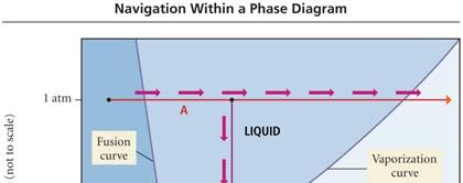 Phase Diagrams describe the different states and state changes that occur at various temperature - pressure conditions areas represent states lines represent state changes