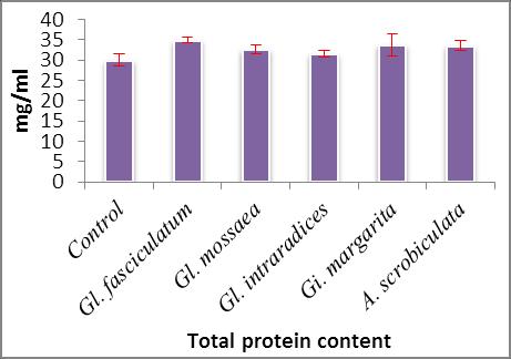 Fig 1: Estimation of metabolites in Sorghum bicolour leaf. ACKNOWLEDGEMENT The authors are grateful to PG and Research Dept.