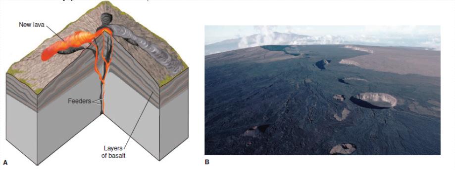Volcanoes The vent is the opening through what the eruption takes place The Craterof a volcano is the bowl likedepression on top of the vent of a volcano A flank eruption is an eruption where lava
