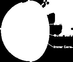 The inner core, which is made up of nickel and iron reaching temperatures of 7000 o C, because of the pressure of the other layers on this inner core, it is A. solid B. liquid C. molten D.