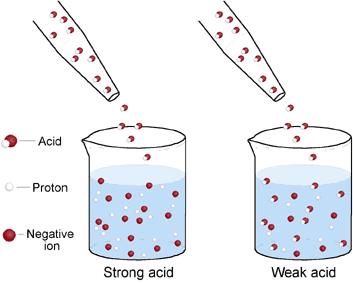 5d Understand the difference between strong and weak acids and bases extension GZ Science Resources 2014 24 You can define acids and bases as being "strong" or "weak".