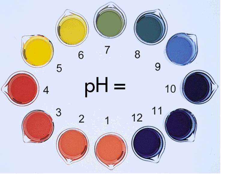 ph indicators 30 Indicators are dyes that