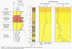 : Comparison between outcrop and well -log Comparison of