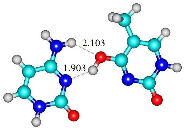 9% ν d i β e interonversion TS A G(WC) 1.99 1.56 1.60 10-11 -324.6i C6N1(G)N1C6(A)=±21.
