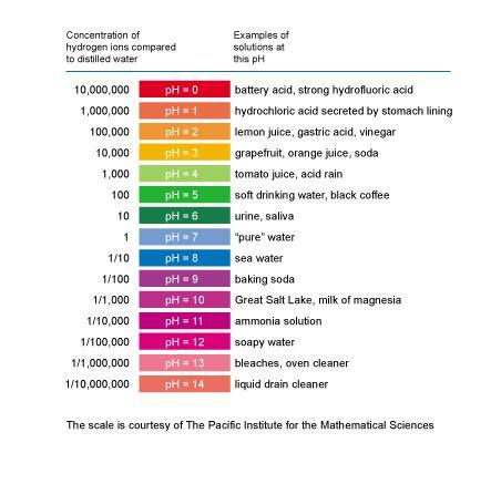 ph Scale Image Source is http://www.