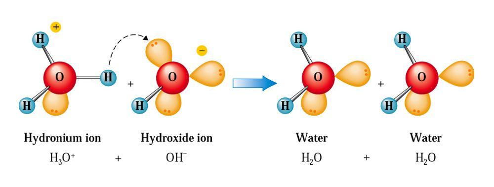 Acid-base neutralization reactions When an acid and a hydroxide base react, the products are a salt and water: acid hydroxide base HCl (aq) + KOH (aq) KCl (aq) + H 2 O (l) When an acid is