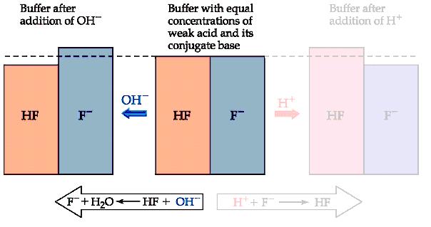Buffers Addition of a base to a buffer If NaOH is added to this mixture, it will react with the acid component of the buffer: OH - + HF F - + H 2 O Na + (in NaOH) has
