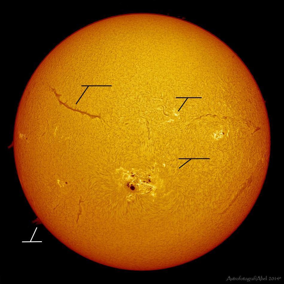 Here is an example f an h-alpha image where all the chrmsphere parts are indicated: Figure 5: Sun s characteristics.