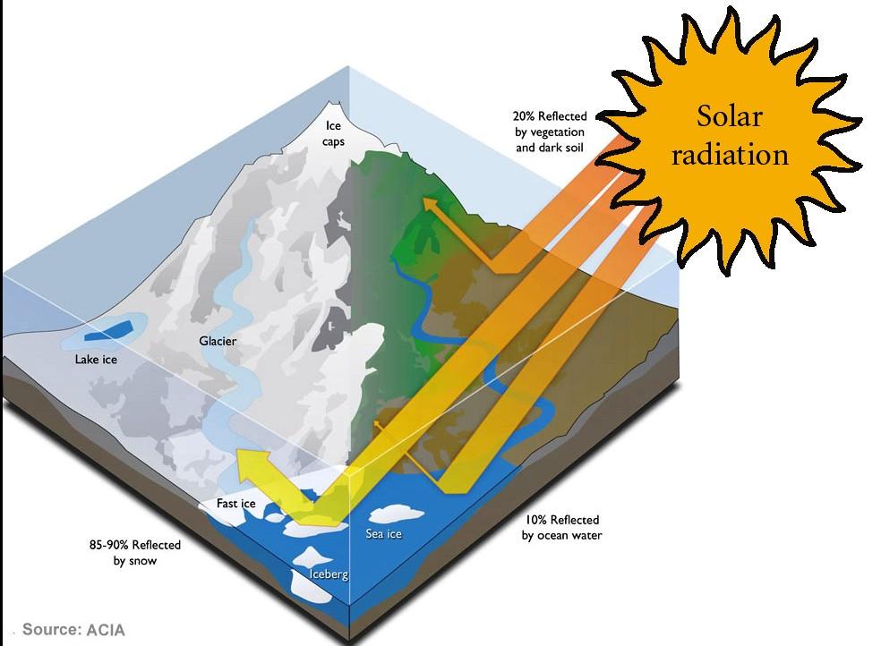 How much solar energy is absorbed by the