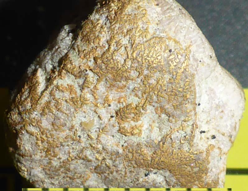Crystalline Dendritic-Wire Gold Diagnostic of Bonanza Grade Gold Discovered at Crown