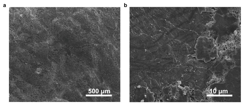 SUPPLEMENTARY INFORMATION Supplementary Figure 12. Surface morphology of layered Li-rGO after cycled at 5 ma cm -2.