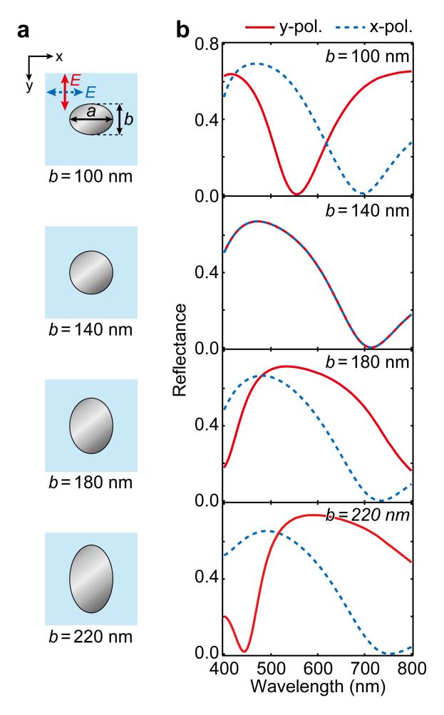 S8. Reflectance properties on ellipse-shaped nanodisks The use of plasmonic antennas can provide secondary degrees of flexibility to spectral properties, such as polarization dependence.