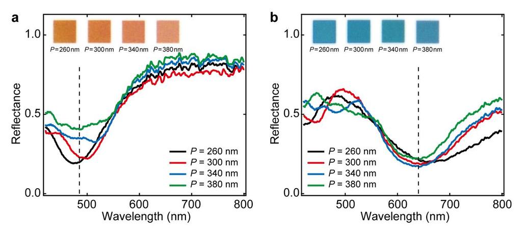 S4. Periodic dependence of the reflectance properties Figure S4 shows the periodic dependence of the reflection properties for the nanodisk arrays with the 80-nm-diameter and 120-nm-diameter