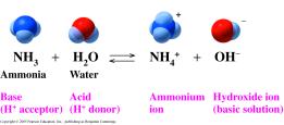 Bases accept a proton (H + ). In the reaction of ammonia and water, NH 3 is the base that accept H +.