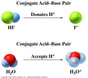 15 16 Conjugate AcidBase Pairs Conjugate Acids and Bases In any acidbase reaction, there are two conjugate acidbase pairs Each