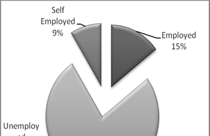 2 Employment Status and Sex Table 18, depicted in Figures 8(a) and 8(b), shows the distribution