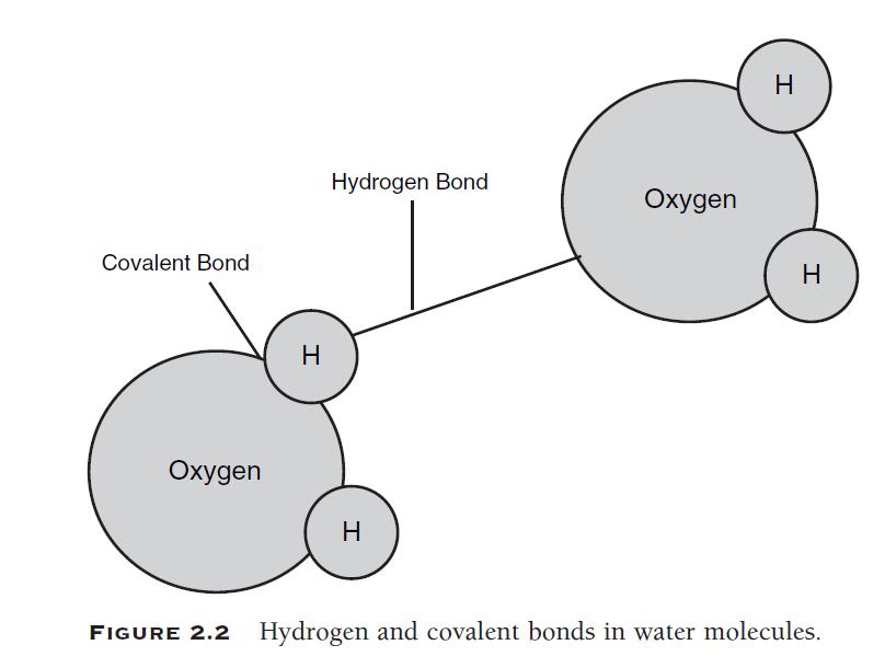 Water would be expected to be gas at room temperature if compared with similar compounds in terms of their positions in the periodic table, but because of the many hydrogen bonds it contains, it is