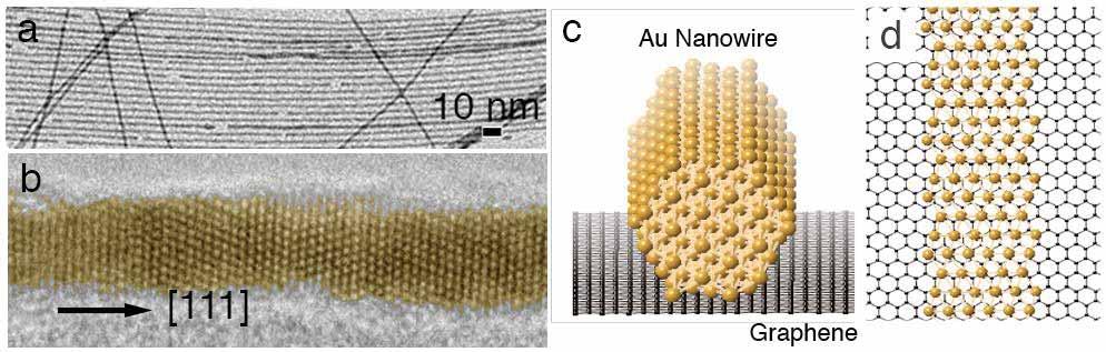Ultrathin Au Nanowires grown on a graphene support - Minimize complications in