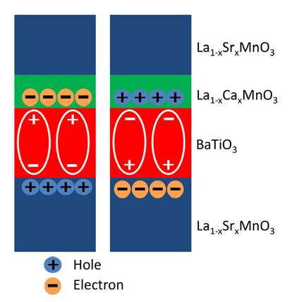 Ca, Sr, or Ba) which exhibit rich phase diagrams as a function of hole concentration x, [7] the carrier density of La 1-x A x MnO 3 near the interface with a ferroelectric material can be effectively