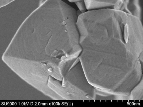 By the complementary use of both SEM and STEM, we can identify both the shape of particles and the existence of pores.