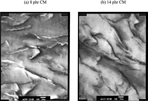 NOVEL PAN/LICF 3 SO 3 /CLAY POLYMER ELECTROLYTE 2411 Figure 2. TEM micrograph ( 60K) of PAN filled with various CM concentrations (1 mm 600 nm): (a) 8 phr, (b) 14 phr.