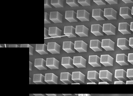 III Logic Devices and Processors Figure 18: Nanotube blocks created by catalyst mediated growth. The tubes are generated from iron catalyst pads (100 100 µm) patterned by the lift-off technique.