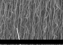 The second insert shows a TEM-image of a single nanotube revealing that the tubes are multiwall with about 16 shells and a diameter of approximately 20 nm. 4.