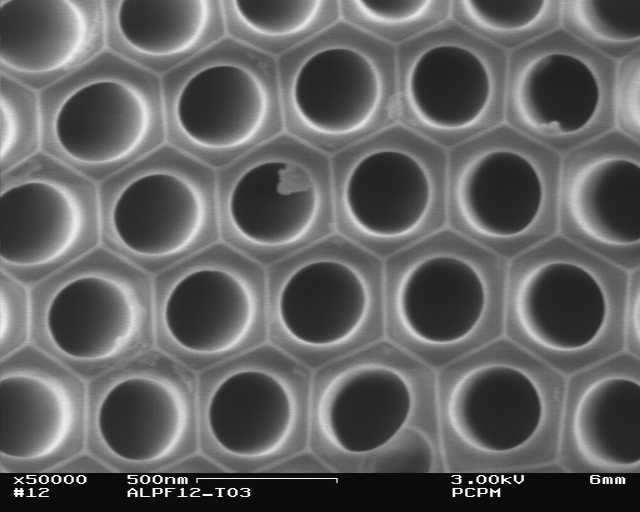 honeycomb capillary diameters: 140-260 nm