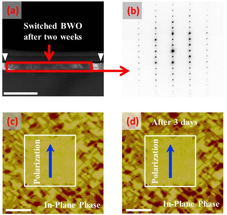 Supplementary Figure 5 Non-volatile ferroelastic switching in BWO thin film.