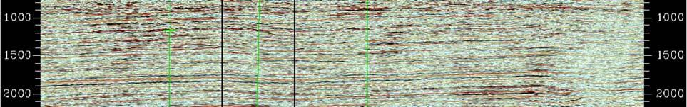 indicator (Bright spot) on the seismic sections. The horizon picking was initiated on the bright spot.