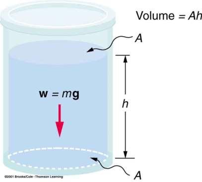 Pressure in a fluid is due to the weight P Force Area of a