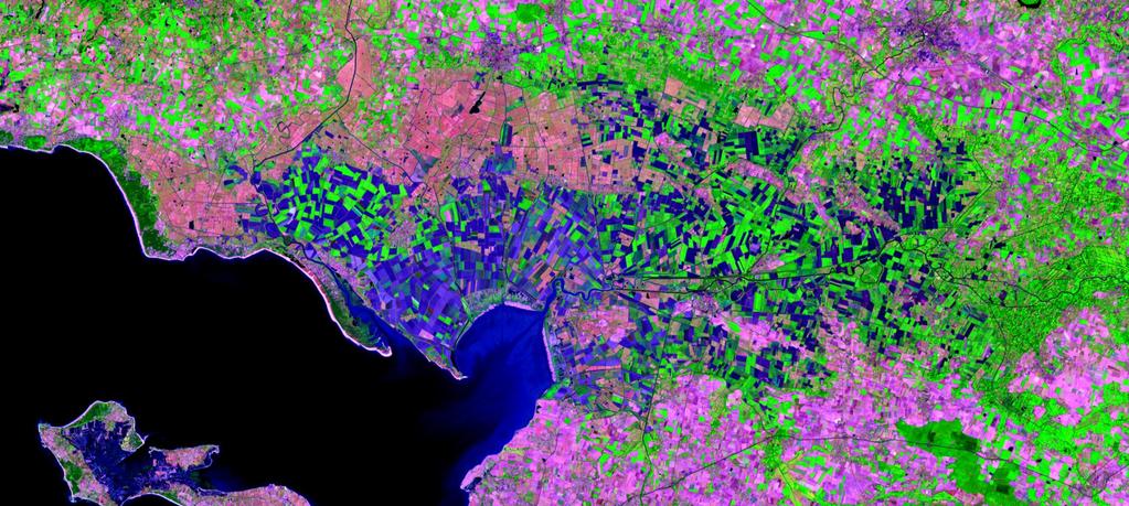 Poitevin marsh Landsat-8 OLI color composite 2013/09/03