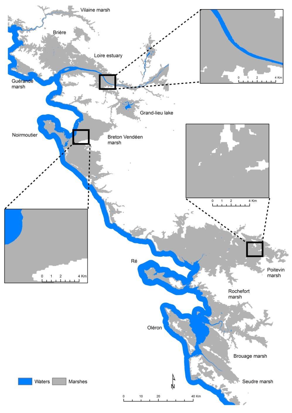 Marshlands delineation Coastal marshes were correctly