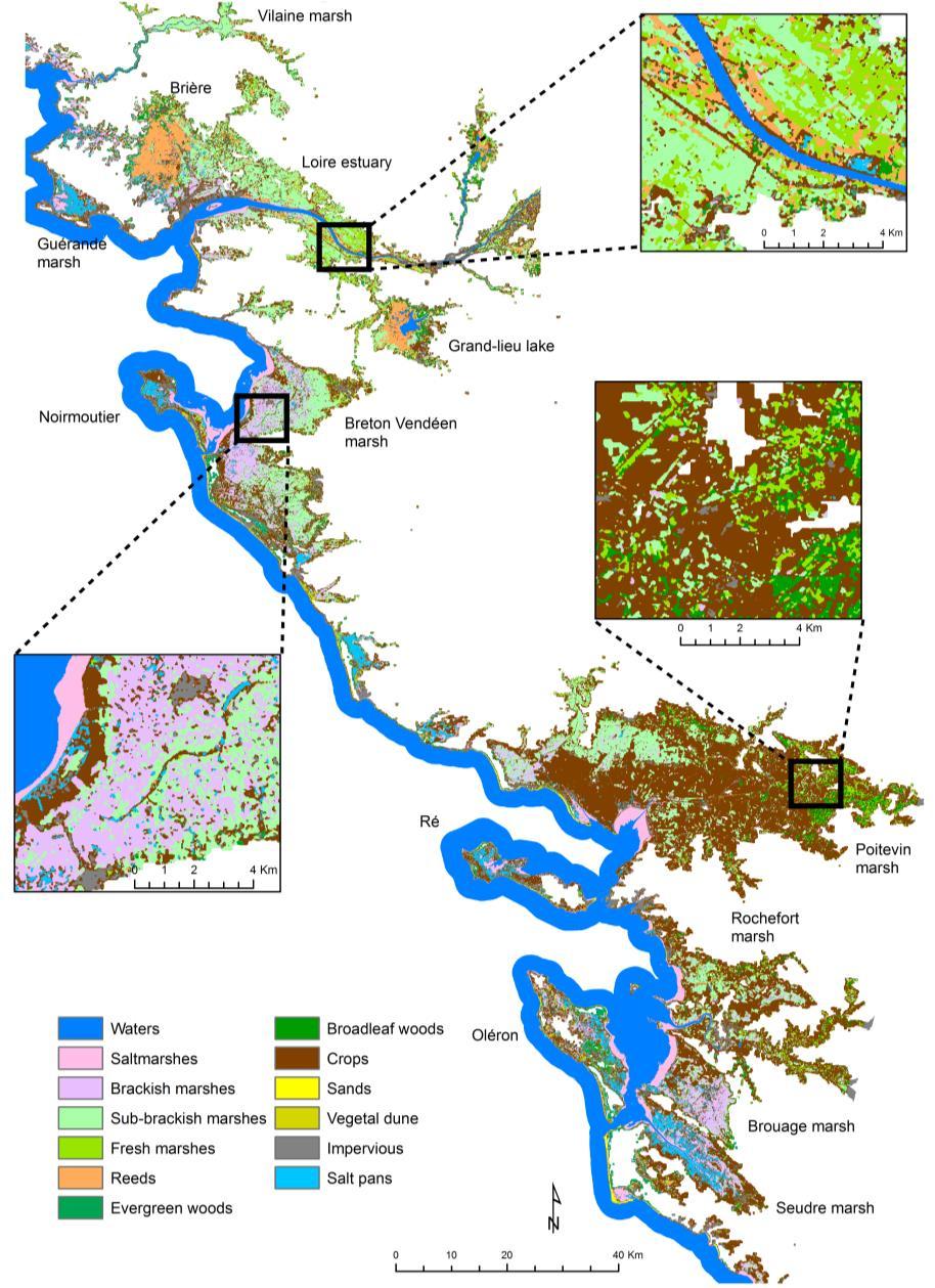 Vegetation mapping Geosigmetum of coastal marshes were automatically mapped at regional scale (4632 km²) Geosigmetum map highlights water
