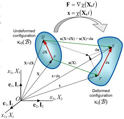 4 Shan Yang, Vladimir Jojic, Jun Lian, Ronald Chen, Hongtu Zhu, Ming C. Lin define the undeformed reference configuration, and x defines the deformed current configuration [4].