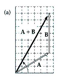 Adding Vectors: Component Method Each of the displacement vectors A and B shown has a magnitude of 3.00 m. Find using components (a) A + B, (b) A B, (c) B A, (d) A 2B.