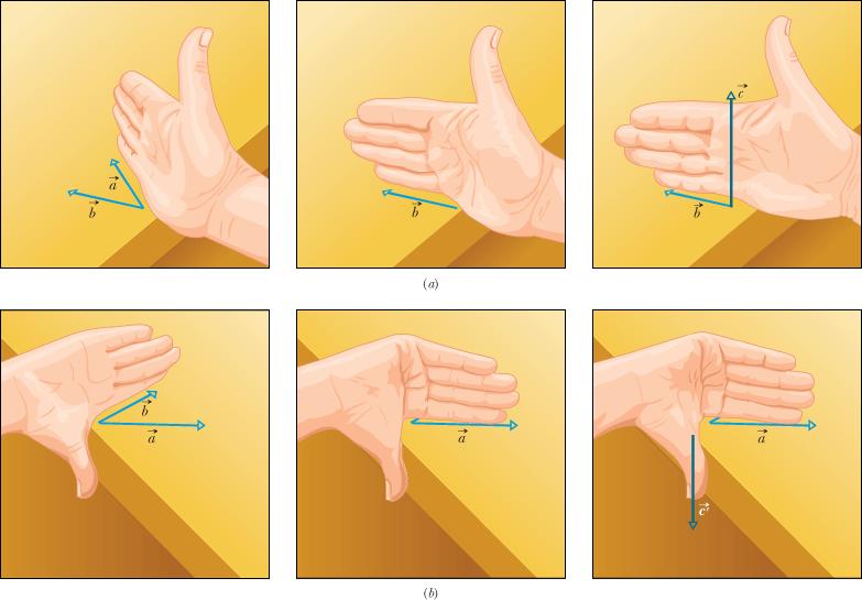 Figure 3-19 Illustration of the right-hand rule for vector products. (a) Sweep vector into vector with the fingers of your right hand. Your outstretched thumb shows the direction of vector =.