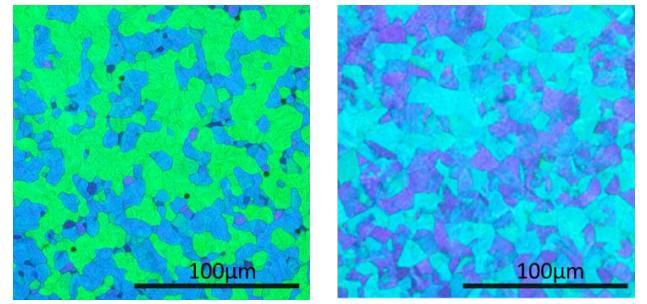 [29]. Figure 1.5 shows the platelet textures of two BPLCs under crossed polarizers [30]. The different colors of the left and right pictures are from different pitch lengths.