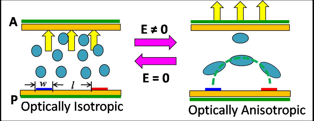 When an electric field is applied, the BPLC becomes anisotropic according to the Kerr effect, thus, the linearly polarized light passing the bottom polarizer can pass the analyzer on the top.