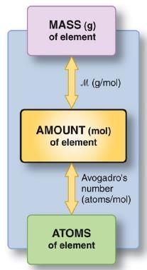 Molar mass (g/mol) Amount (mol) = mass (g) /MM (g/mol) 1 mol = 6.