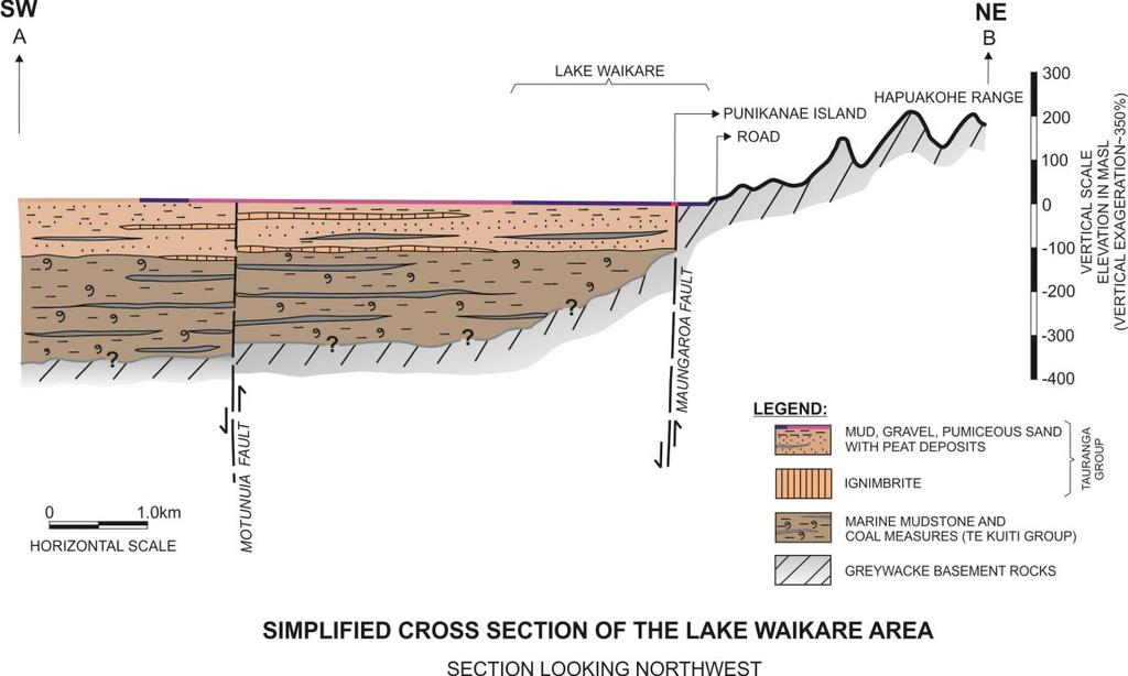 Figure 9. Simplified geologic cross section of Lake Waikare area along line A-B of Figure 4 (geologic map); vertical scale exaggerated to ~350 % 3.