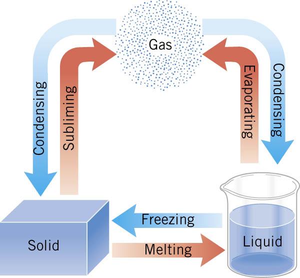 Heat and Phase Changes THE PHASES OF MATTER During a phase change, the